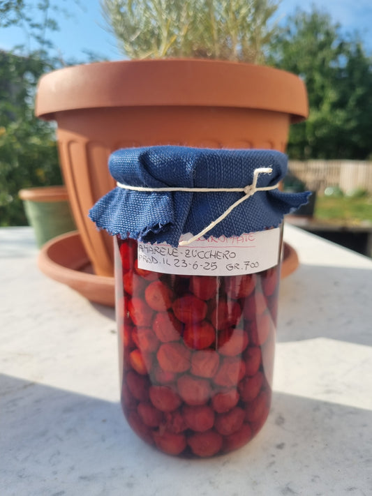 Amarene Sciroppate: l’eleganza della dolcezza